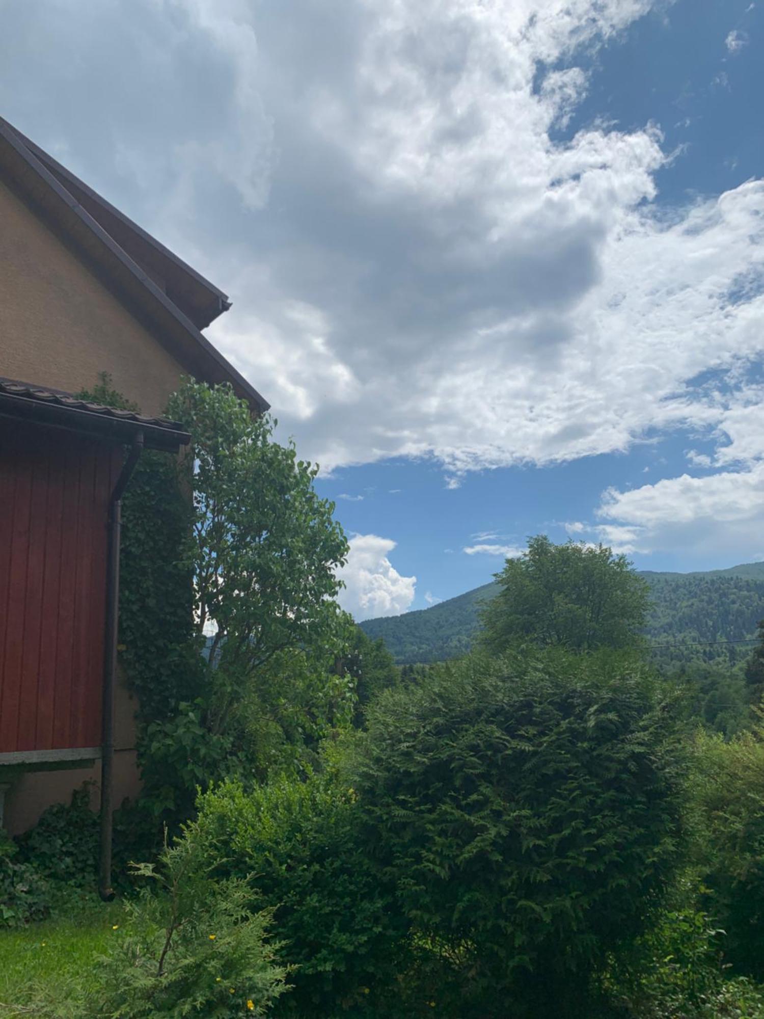 Zakrzywek Wyjatkowy Apartament W Krzywe K/Cisnej Cisna Bagian luar foto